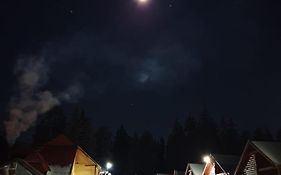 Popas Turistic Padis