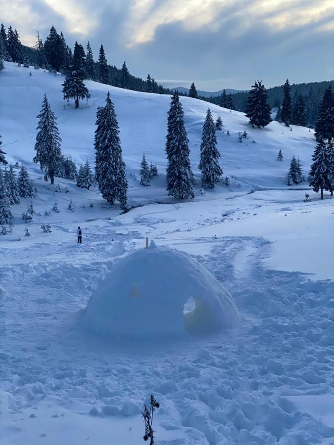 Popas Turistic Padis Hotel Kültér fotó