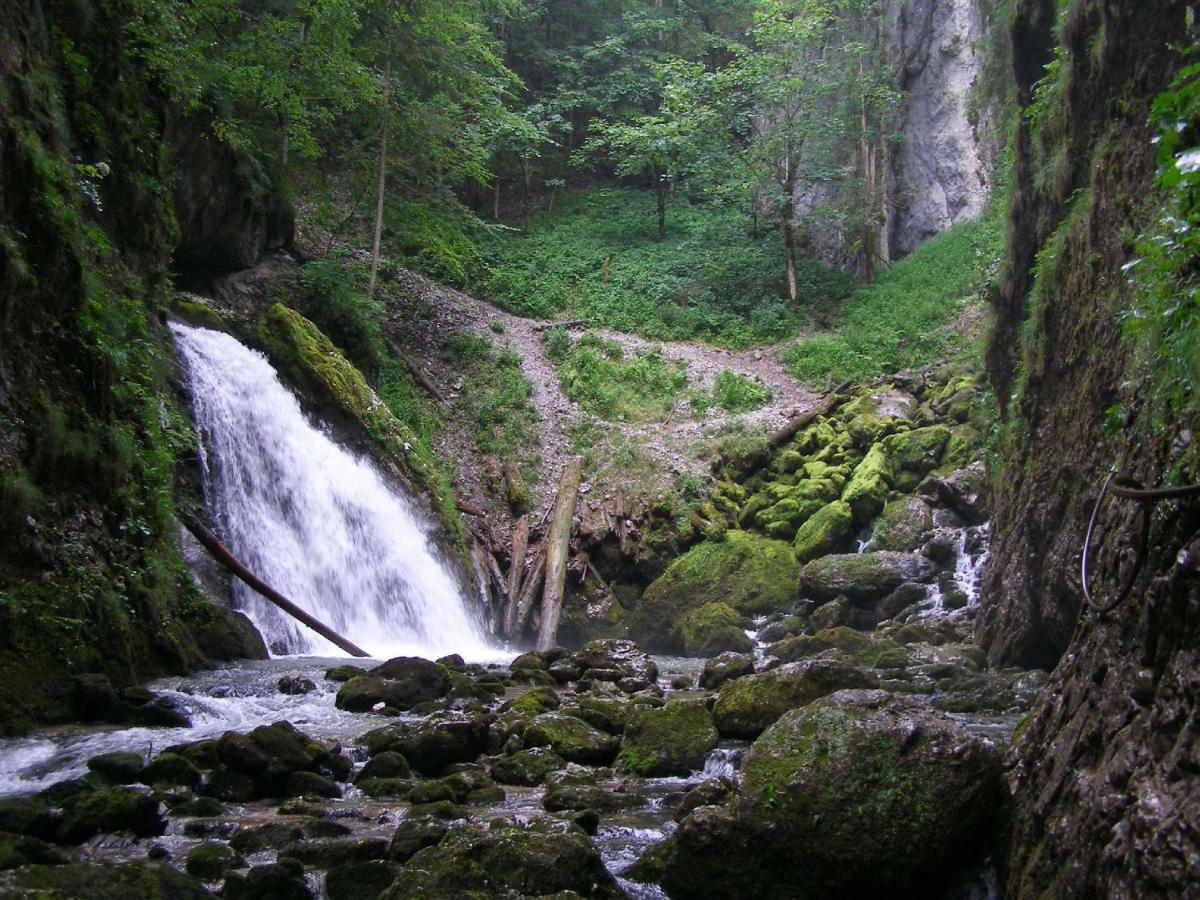 Popas Turistic Padis Hotel Kültér fotó